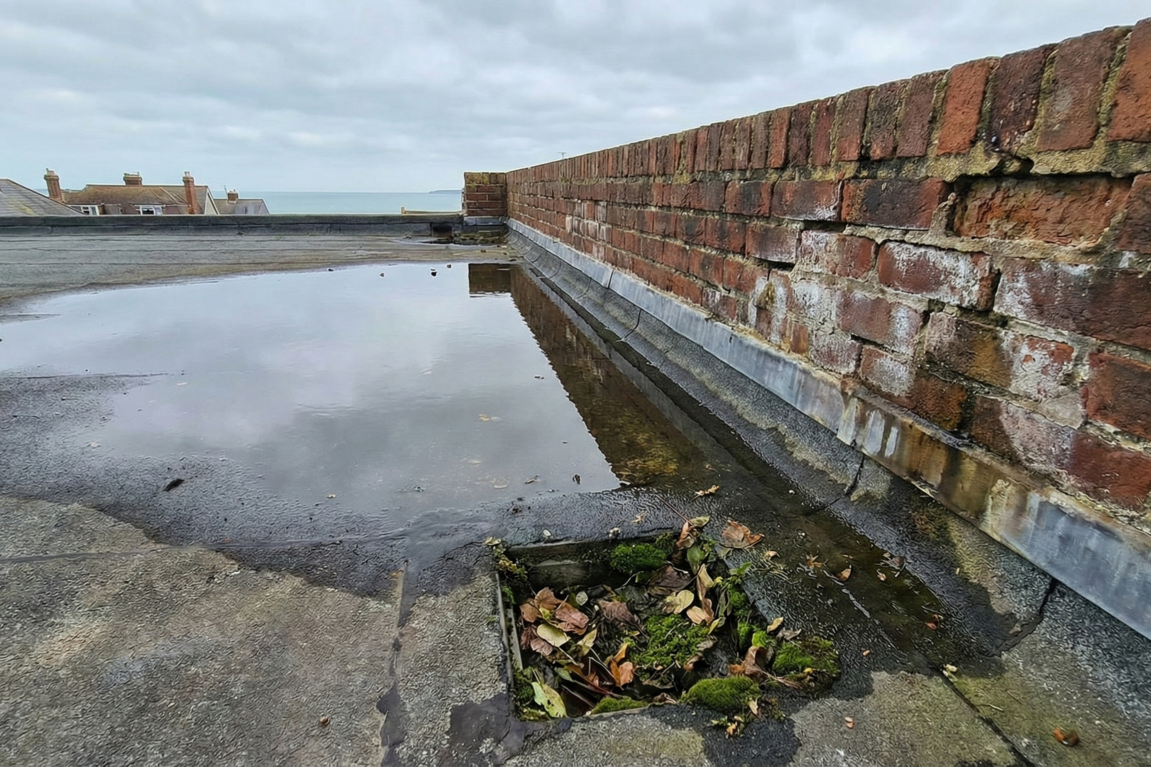 flat roof with visible "ponding" (standing water) next to a weathered brick parapet wall