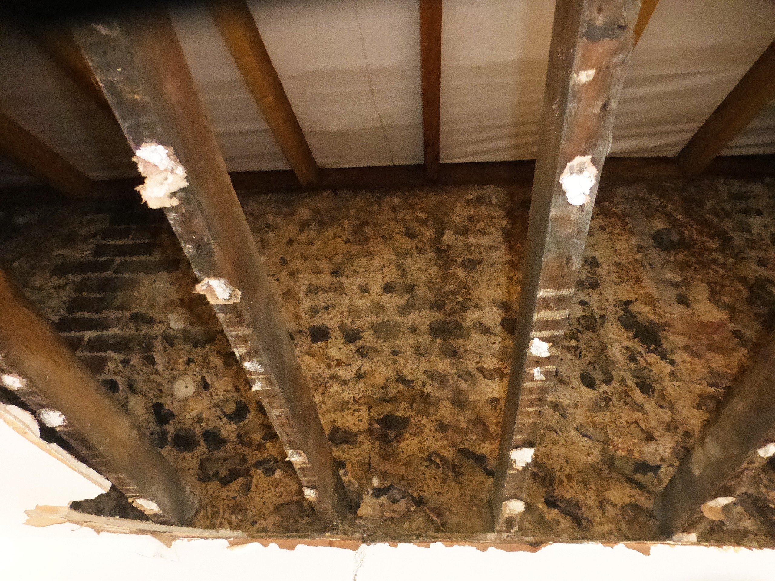 Water Ingress Investigation – Hove (2) Water Ingress Investigation – Hove