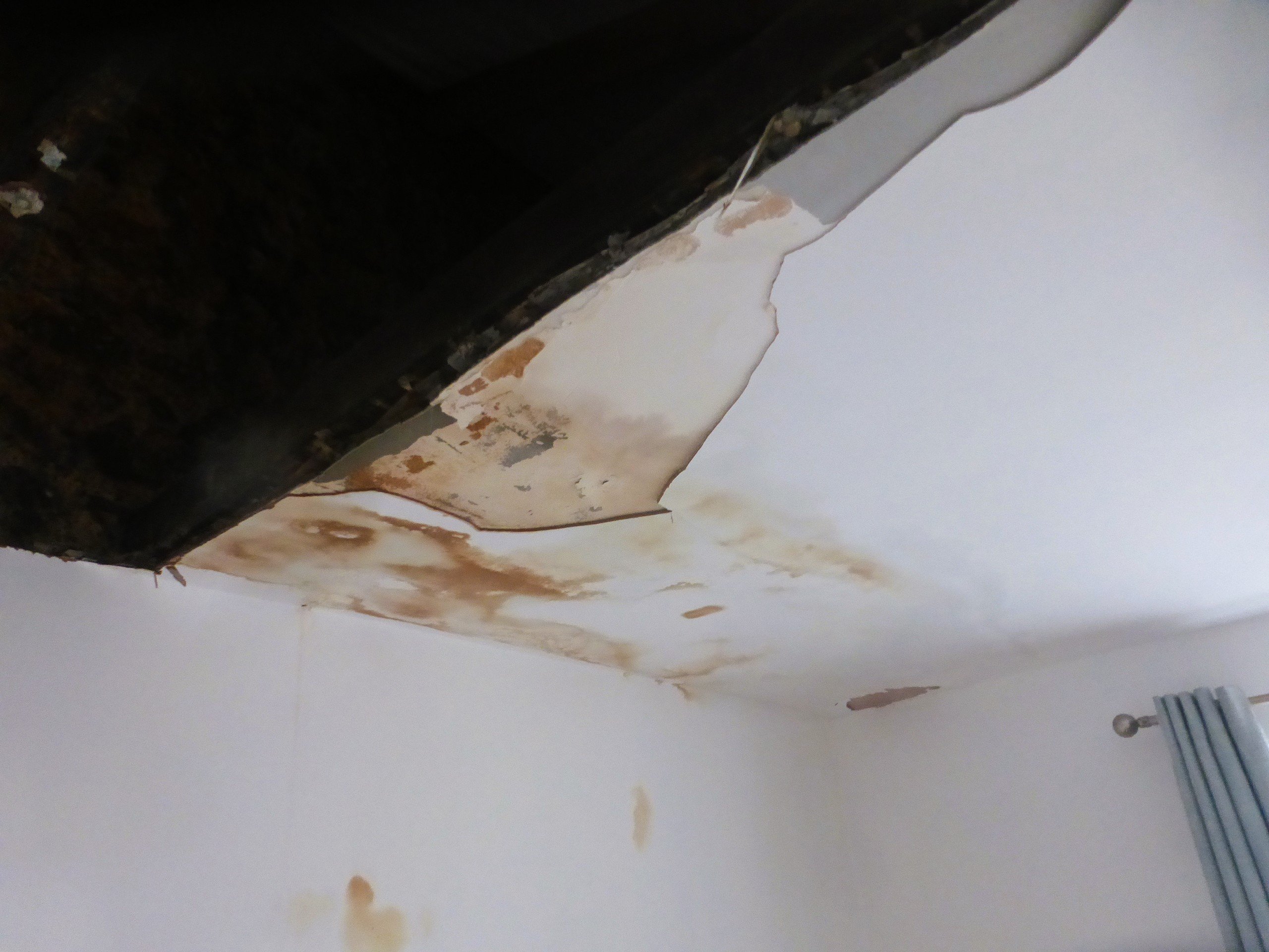 Water Ingress Investigation – Hove (3) Water Ingress Investigation – Hove